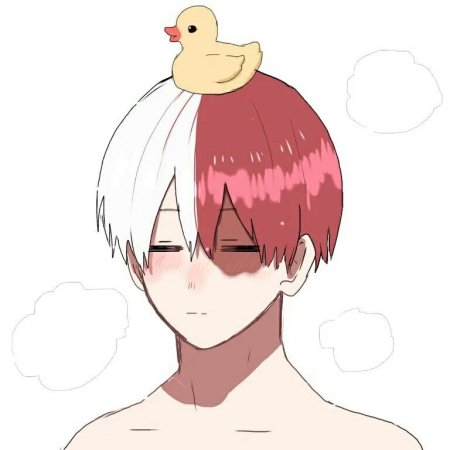 Тодороки шото маленький