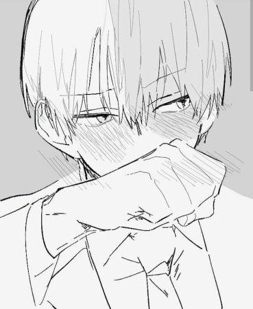 Тодороки шото аниме