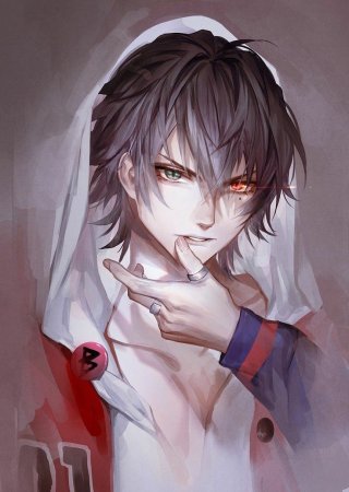 Аниме кун с гетерохромией