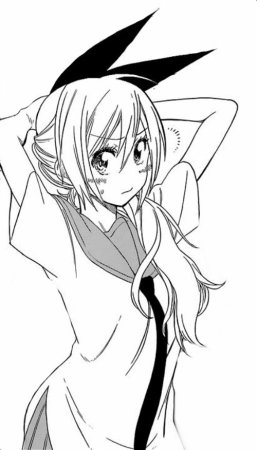 Читоге семья