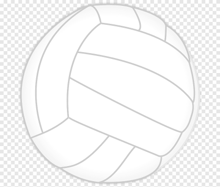 Волейбольный мяч черно белый