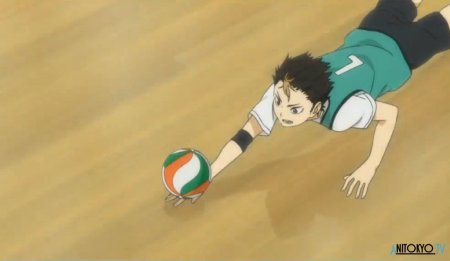 Волейбольный мяч Карасуно