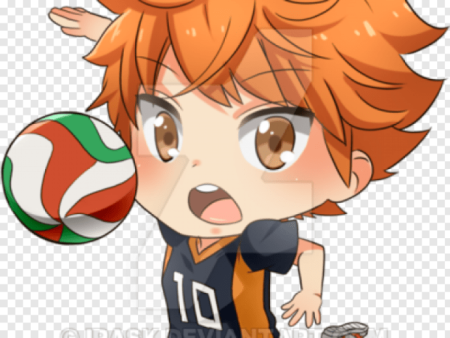 Хината шоё в прыжке