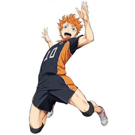 Волейбольный мяч из аниме волейбол