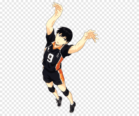 Хината волейбол