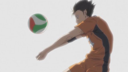 Хината шоё в полёте