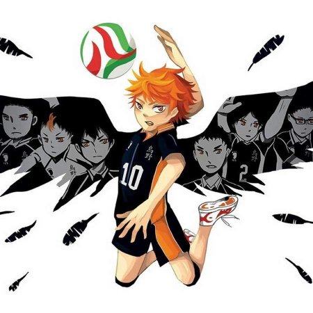Аниме волейбол Хитока