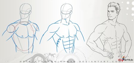 Рисовка накаченного тела