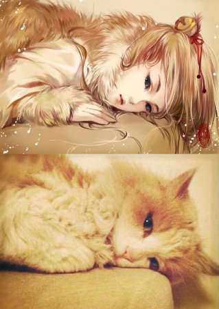 Кошки в анимешном стиле