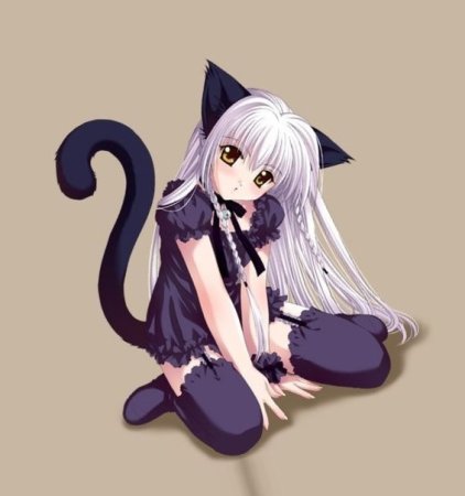 Кошка девочка