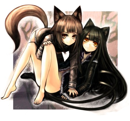 Аниме девушки кошки