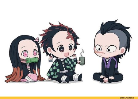 Hashibira Inosuke / Kamado Tanjirou