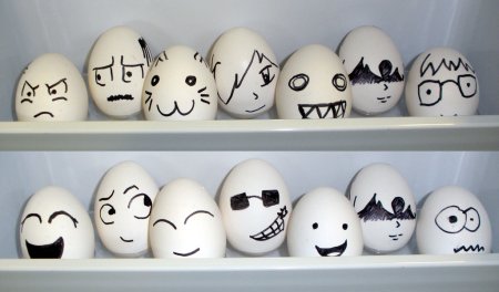 Смешные мордочки на яйцах