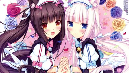 Кошачий рай / Nekopara (2020) аниме