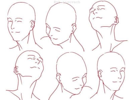 Голова в разных ракурсах