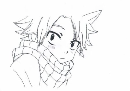 Рисунки аниме хвост феи Нацу