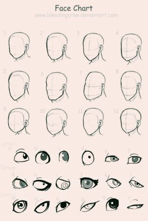 Форма головы для рисования