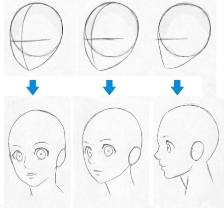 Форма головы аниме
