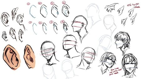 Аниме лицо девушки референс