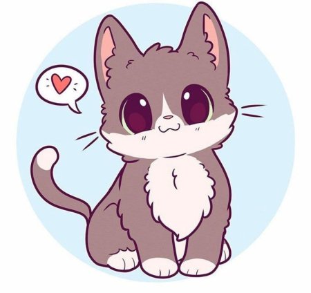 Наоми Лорд котики