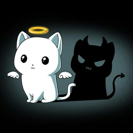 Аниме кот