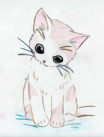 Картинки котят для срисовки