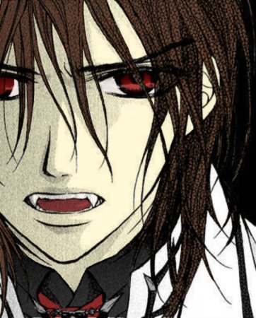 Рыцарь вампир Канаме и лука