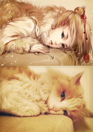 Кошки в анимешном стиле