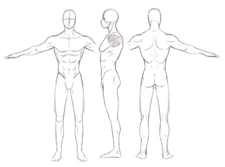 Тело мужчины сбоку референс