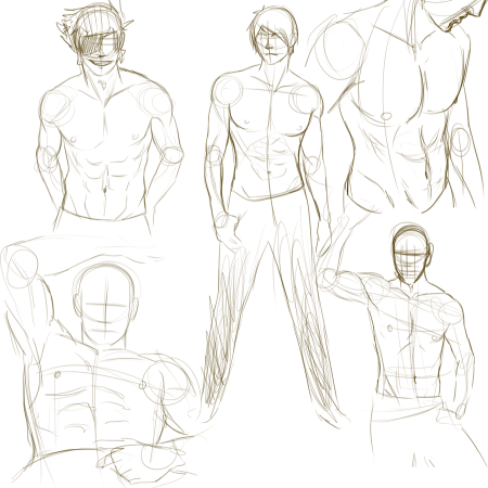 Торс сзади референс