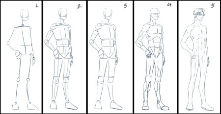 Анатомия тела человека для рисования