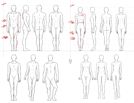 Тело парня референс в полный рост