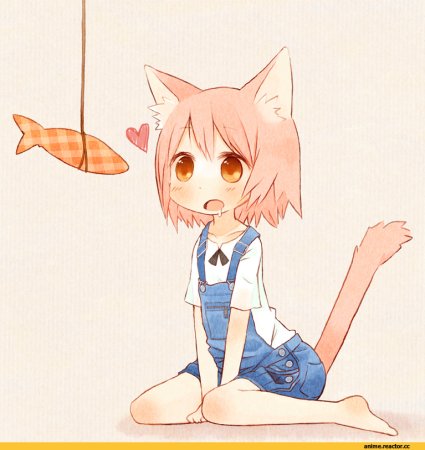 Аниме кошки люди