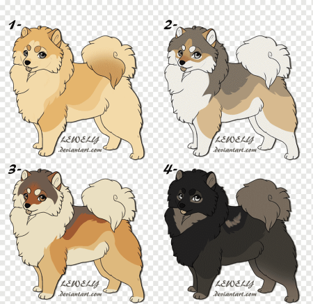 Шпиц померанский Шиба ину