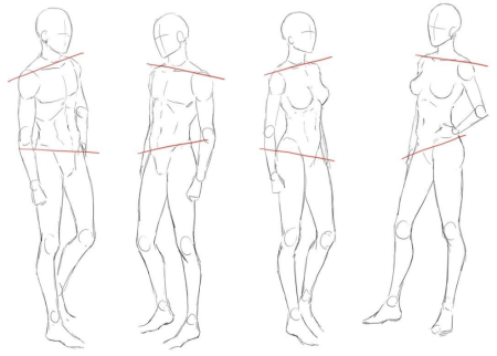 Перспектива тела референс