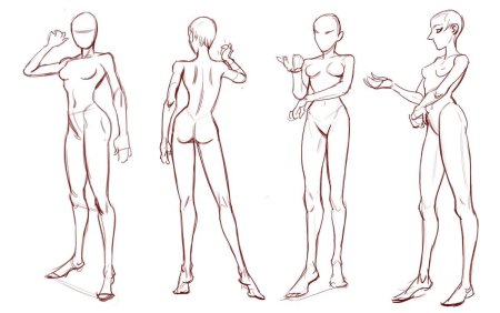 Анатомия референс в полный рост