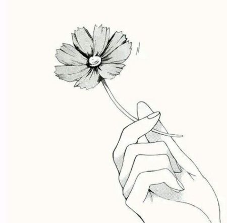 Аниме цветы