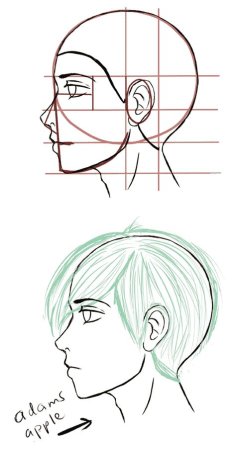 Рисование головы с боку