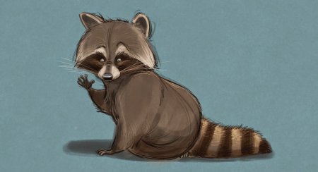 Енот полоскун арт