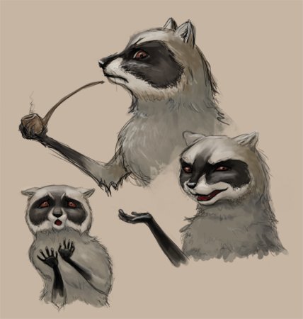 Анатомия енота для рисования