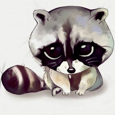 Кавайные енот