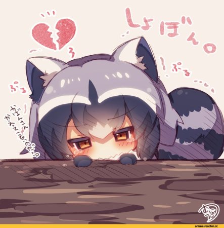 Kemono friends Ракун