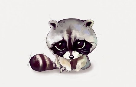 Kemono friends енот