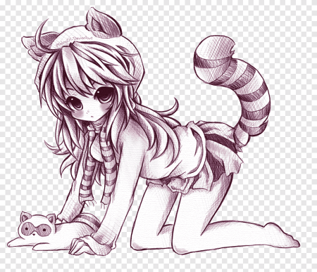 Милые еноты рисунки