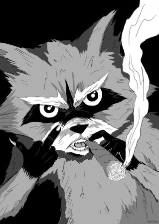 Семья енотов арт