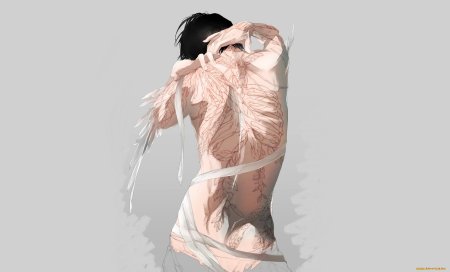 Спина для срисовки