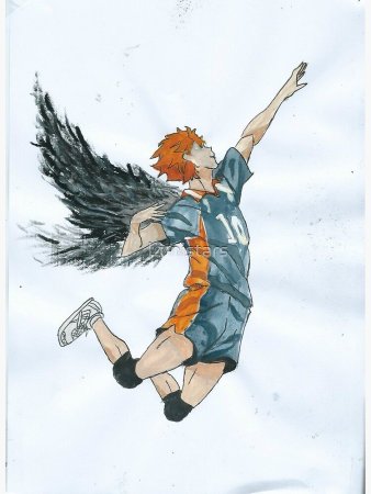 Хината шоё с крыльями