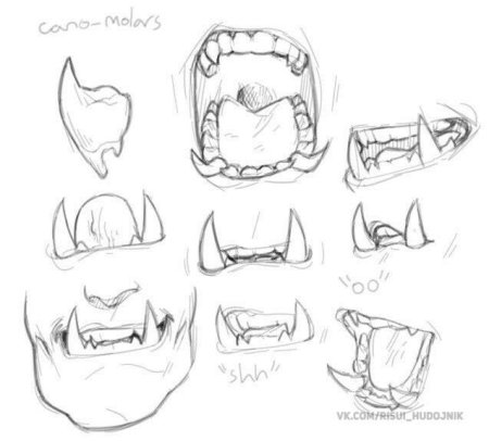 Зубы сбоку референс