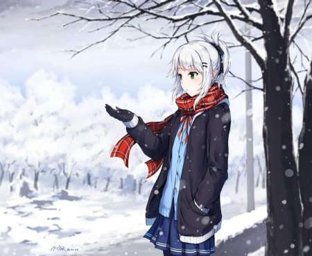 Винтер аниме