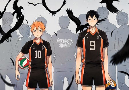 Карасуно волейбол Хината